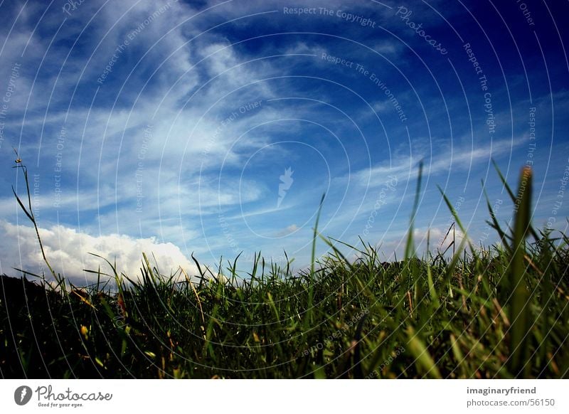 himmel und gras Wiese Gras Wolken Länder Himmel country Landschaft