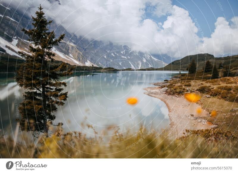 Trübsee, Engelberg, Schweiz trübsee engelberg schweiz zentralschweiz bergsee alpen schönes wetter spiegelung wasser tourismus ausflugsziel Wanderausflug