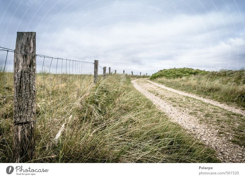 Landstraße schön Sommer Umwelt Natur Landschaft Luft Himmel Wolken Horizont Herbst Wetter Baum Blatt Wald Straße Wege & Pfade wild gelb grün Farbe vertikal