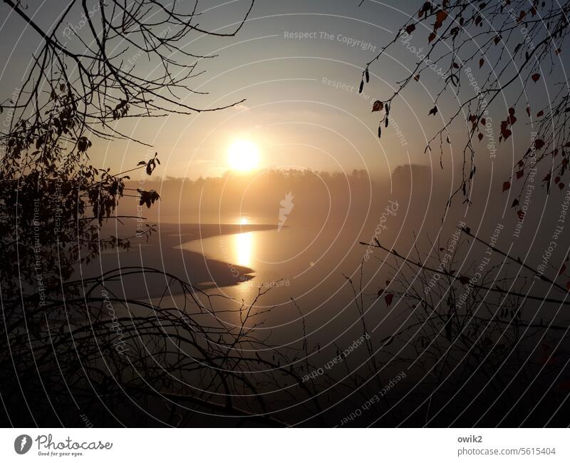 Und immerimmerwieder geht die Sonne auf Menschenleer Außenaufnahme See Teich Oberlausitzer Biosphärenreservat Wolkenloser Himmel Sonnenlicht Horizont