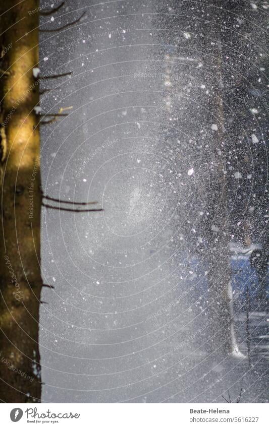 Schneegestöber Winter Winterwetter kalt Frost Wetter weiß Eis Natur gefroren frieren Außenaufnahme Winterstimmung Wintertag Kälte Jahreszeiten Baum Wald