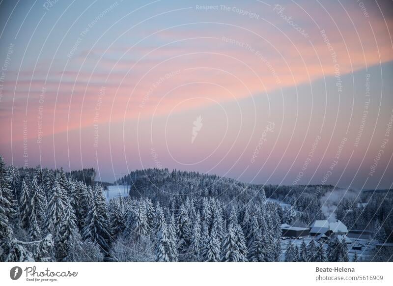 Morgenrot im Schwarzwald Kälte Schnee Winter Landschaft Menschenleer Himmel Schneelandschaft Wald weiß Wintertag Bauernhof Schneedecke Wetter Rauch Idylle