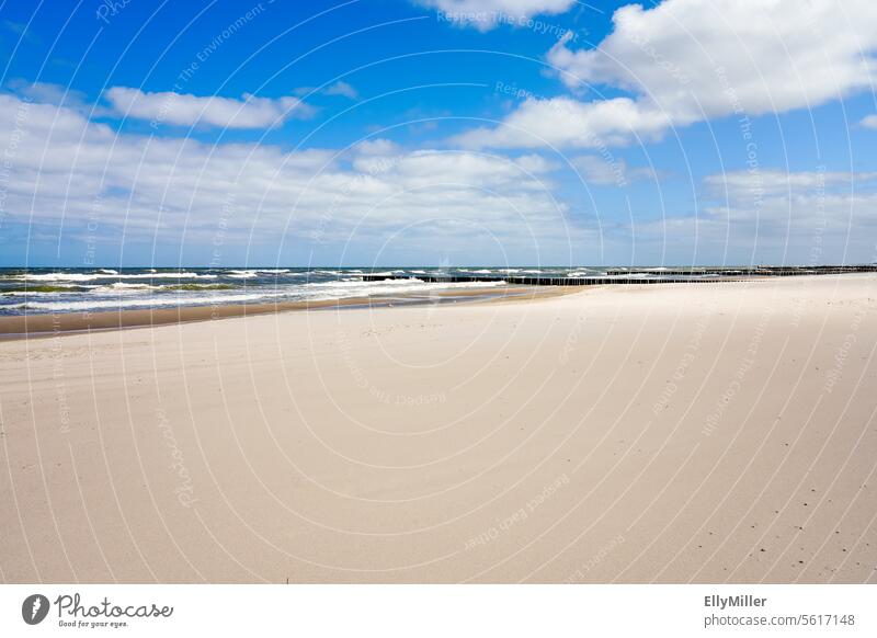 Strand bei Niechorze an der polnischen Ostseeküste Polen Küste Sandstrand Meer Natur Ferien & Urlaub & Reisen Landschaft Himmel Wasser Erholung Tourismus Idylle