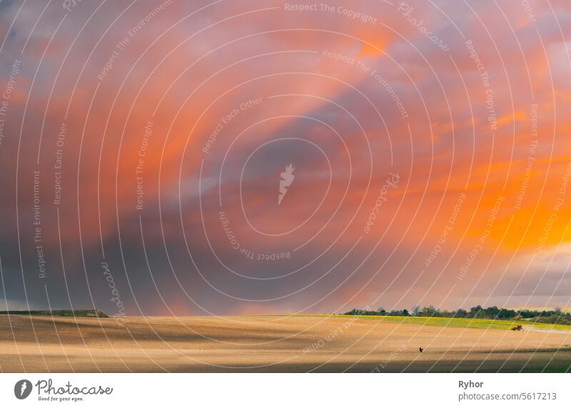 Feld bei Sonnenuntergang Sonnenaufgang. Traktor Pflügen Feld im Frühjahr Saison sonnigen Tag. Helle Wolken im Hintergrund. Landschaft Ländliches Feld Landschaft. Landwirtschaftliches Konzept. Bright Orange Gelb bewölkten Himmel