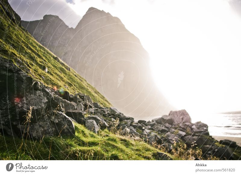 Strandbild Gesundheit Wellness Leben harmonisch Wohlgefühl Zufriedenheit Sinnesorgane Erholung ruhig Meditation Duft Abenteuer Ferne Freiheit Natur Landschaft