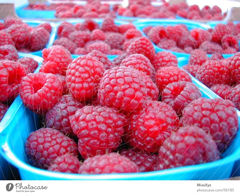 Himbeeren lecker süß frisch rosa rot Ernährung Dessert himbeer Beeren Frucht Lebensmittel Natur Makroaufnahme