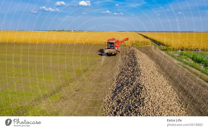 Luftaufnahme eines Mähdreschers und einer Erntemaschine beim Entladen reifer Zuckerrüben oben landwirtschaftlich Ackerbau Rübe groß Haufen Ladung Förderband