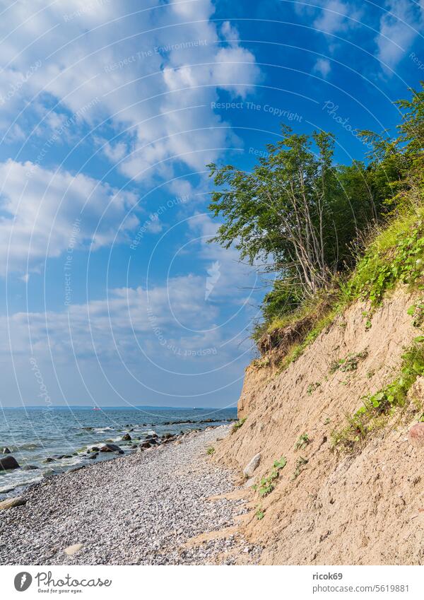 Steilküste an der Küste der Ostsee auf der Insel Rügen Ostseeküste Meer Bäume Findling Stein Felsen Mecklenburg-Vorpommern Stubbenkammer Sassnitz Jasmund