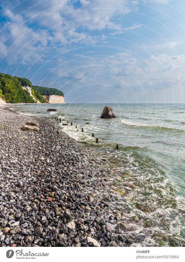 Kreidefelsen an der Küste der Ostsee auf der Insel Rügen Ostseeküste Meer Bäume Steilküste Findling Stein Felsen Buhne Mecklenburg-Vorpommern Stubbenkammer