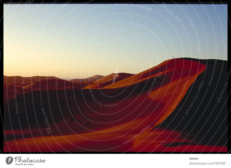 Sahara Sonnenaufgang Wüste Stranddüne Sand