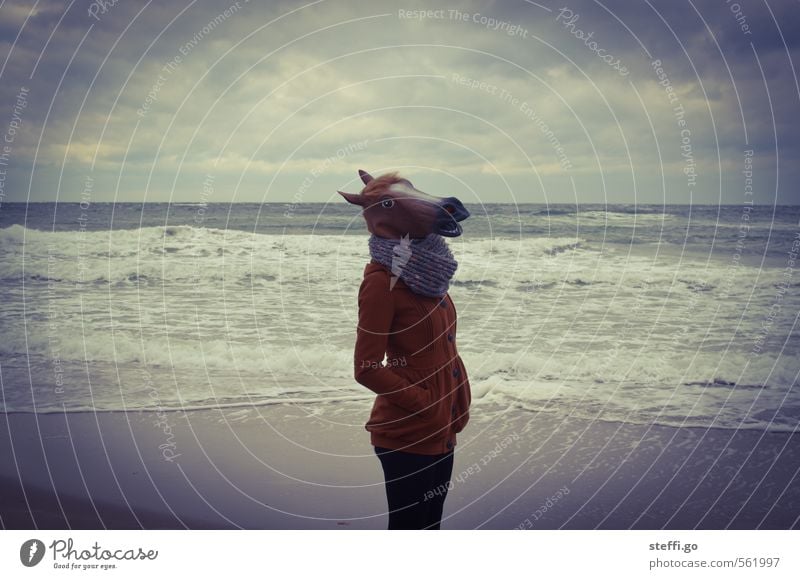 Pferd am Strand Ausflug Meer Wellen Winter Karneval Halloween Wasser Wolken Gewitterwolken Herbst Küste Bucht Nordsee Ostsee Insel Mantel Maske Tier 1