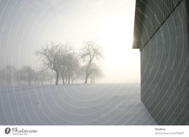 Lichtblick Winter März Baum Schneedecke kalt weiß Morgen Hoffnung Nebel Hütte Sonne fog march trees snow white cold