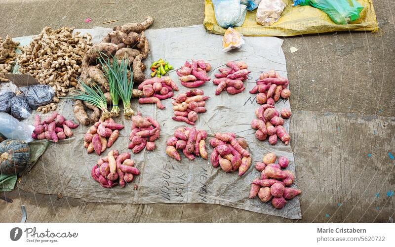 Blick von oben auf einheimisches Gemüse von Kleinbauern auf dem örtlichen Dorfmarkt, der den unverfälschten authentischen Lebensstil auf den ländlichen Philippinen zeigt