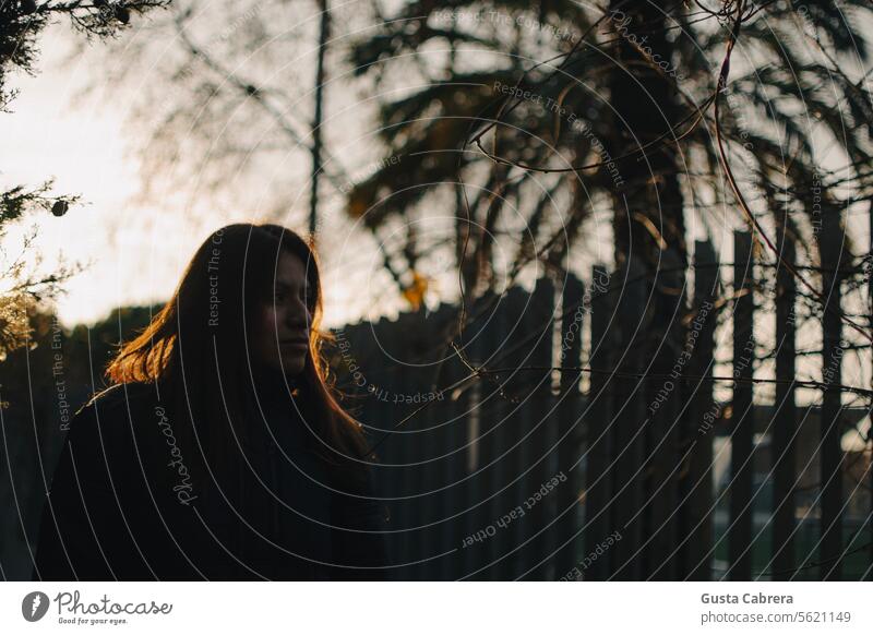 Sonnenstrahlen, die auf das Haar einer Frau fallen. Frauenkopf Lichtstrahlen Strahlen Sonnenlicht Außenaufnahme Behaarung Farbfoto Windstille Nebelstimmung