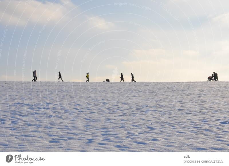 Neujahrsspaziergang bei Sonne im Schnee.  | Frohes Neues 2024! Spaziergang Spazierweg Wege & Pfade Natur Außenaufnahme Landschaft Erholung Licht Umwelt Fußweg