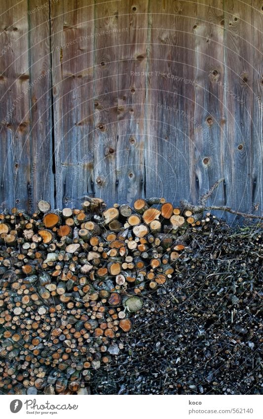 Vorratshaltung. Pflanze Baum Ast Mauer Wand Fassade Holz Linie nachhaltig rund trocken braun gelb orange schwarz Ordnungsliebe sparsam Farbfoto Gedeckte Farben