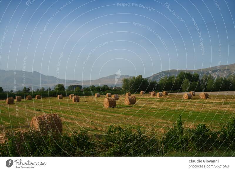 Ländliche Landschaft am Fucino, Abruzzen, Italien Europa Juli L Aquila Nachmittag Ackerbau Ballen Farbe Tag Feld grün Berge u. Gebirge Natur Fotografie Plateau