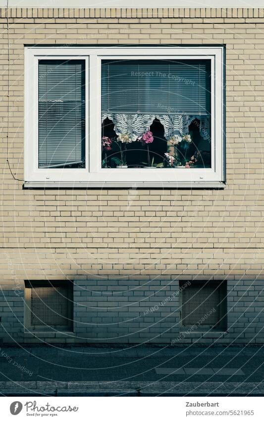 Idyll aus Klinkerwand, Fenster, Jalousien, Gardinen mit Rüschen und Zimmerpflanze Wand Idylle spießig geordnet Ordnung Leben Wohnen Häusliches Leben Haus