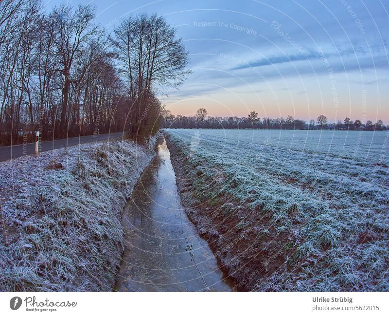 Ein Bach an einem frostigen Morgen Winter kalt Baum Frost Rauhreif Natur frieren Außenaufnahme Menschenleer Winterstimmung Kälte Winterlandschaft Bäume Idylle