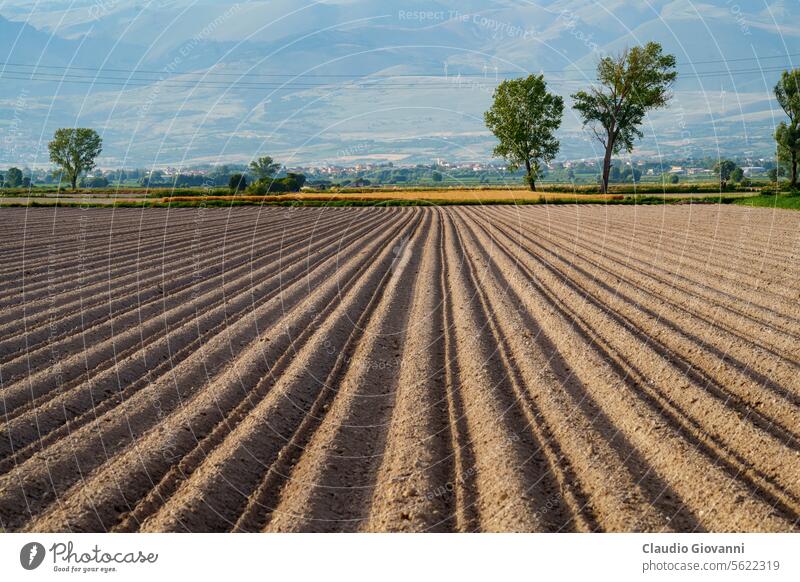 Ländliche Landschaft am Fucino, Abruzzen, Italien Europa Juli L Aquila Nachmittag Ackerbau Ballen Farbe Tag Feld grün Berge u. Gebirge Natur Fotografie Plateau