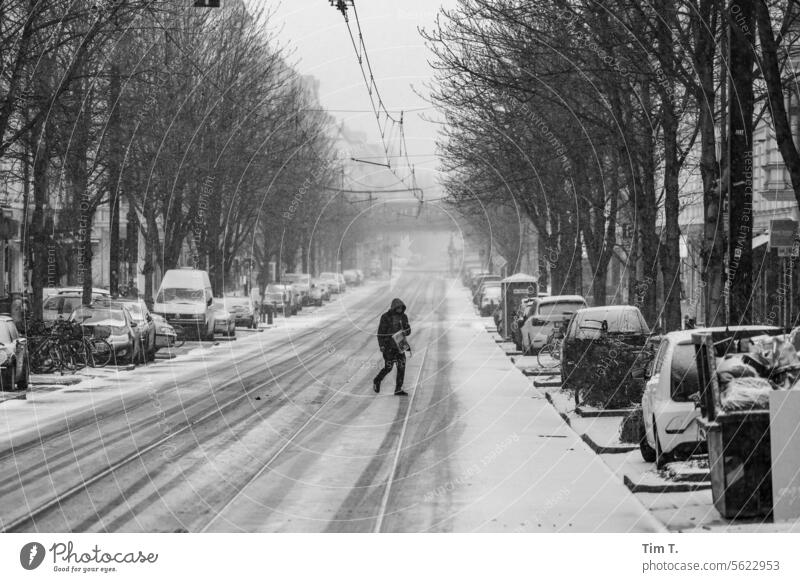 Kastanienallee mit Schnee Prenzlauer Berg Winter kastanienallee s/w bnw Berlin Stadt Stadtzentrum Schwarzweißfoto Hauptstadt Außenaufnahme Altstadt Tag Straße