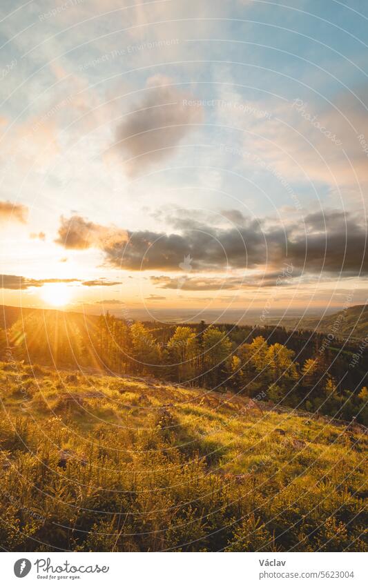 Sonnenuntergang im Wald von Raskovice, Beskiden, Tschechische Republik. Bezaubernde Natur in Mitteleuropa außerhalb bunt Sonnenschein erkunden Tschechien