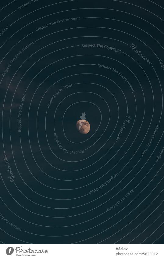 Der Mond in seiner vollen Pracht, beleuchtet von den letzten Resten des orange-roten Lichts der Sonne am dunklen Himmel. Beskiden, Tschechische Republik Stern