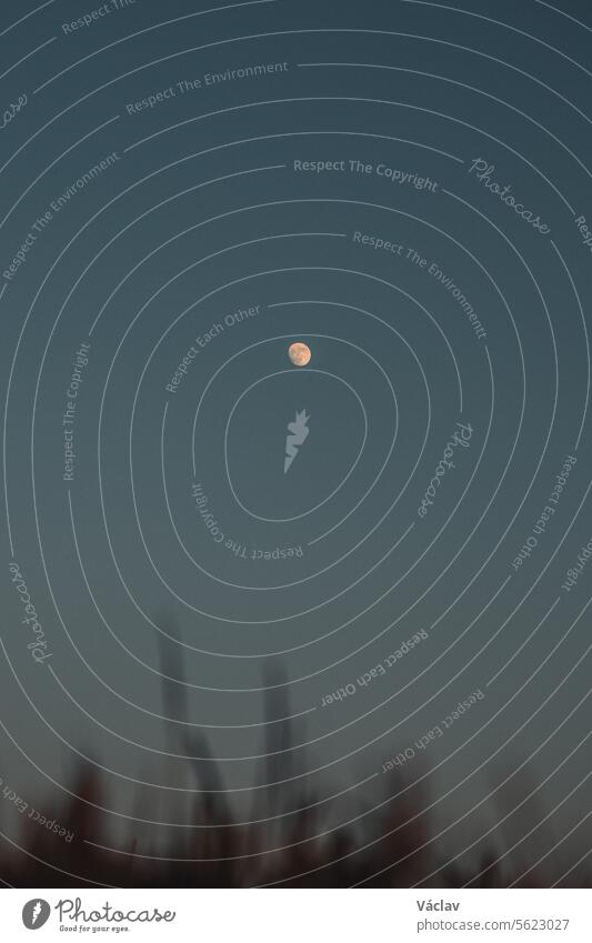 Der Mond in seiner vollen Pracht, beleuchtet von den letzten Resten des orange-roten Lichts der Sonne am dunklen Himmel. Beskiden, Tschechische Republik Stern