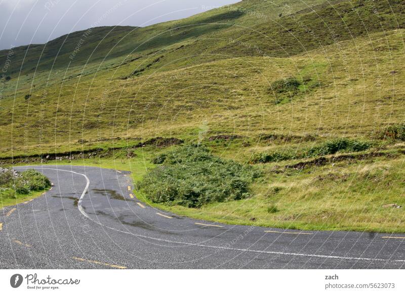 kurvig Irland Republik Irland grün Hügel Gras Landschaft Berge u. Gebirge Wiese Natur Straße Wege & Pfade Kurve Wolken