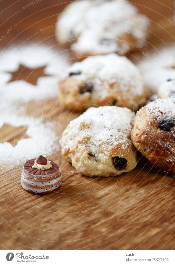 Geschmacksexplosionen Kuchen schlagsahne Backwaren Foodfotografie backen Lebensmittel Puderzucker süß lecker Blüte Blume Teller Stollen Stollenkonfekt