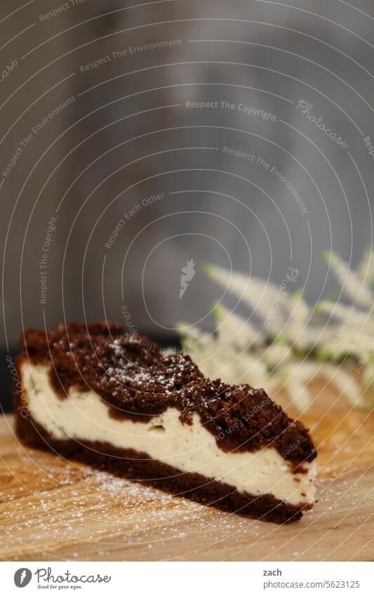 Geschmacksexplosionen Kuchen Backwaren Foodfotografie backen Lebensmittel Puderzucker süß lecker Blüte Blume Zupfkuchen Quarkkuchen