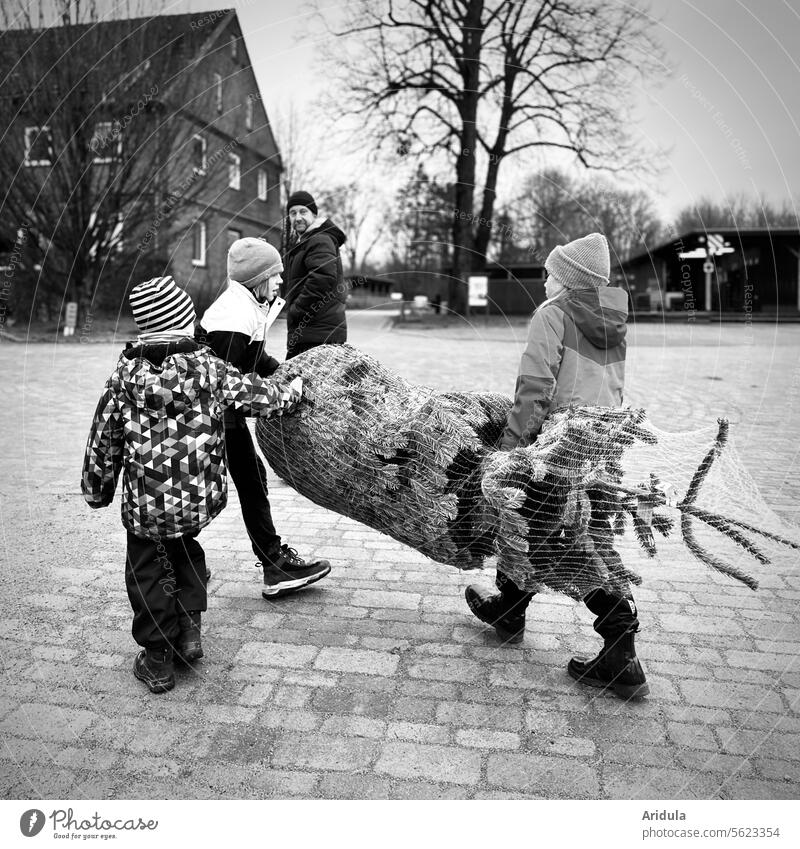 Oh Tannenbaum | Weihnachtsbaum kaufen s/w Mann Kind Kinder Vater Zweige verstecken Weihnachten & Advent Tradition Vorweihnachtszeit Feste & Feiern Vorfreude