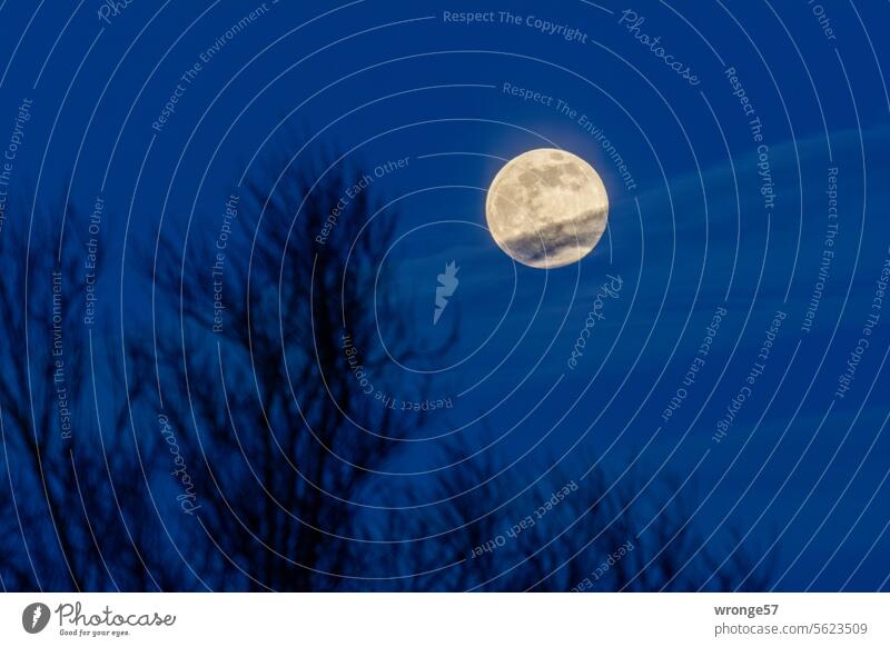 Der nächste Vollmond scheint am Donnerstag Abendhimmel Himmel Mond Nacht dunkel Mondschein Nachthimmel Stimmung Außenaufnahme Menschenleer Natur Licht