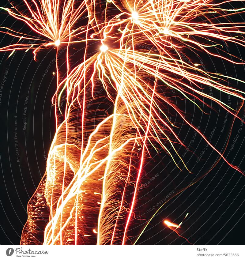 Frohes Neues Jahr! Feuerwerk Silvester Silvesterfeier Funken Silvesterfeuerwerk Neujahr leuchten feiern feierlich festlich Festspiele Silvesterparty Feier