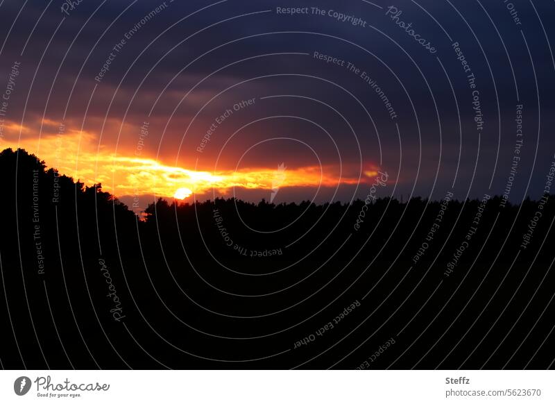 Sonnenuntergang über dem Wald Licht dunkel Dunkelheit Abendstimmung Abenstille Sonnenlicht Abenddämmerung Dämmerung Silhouette Baumkronen Himmel ruhig