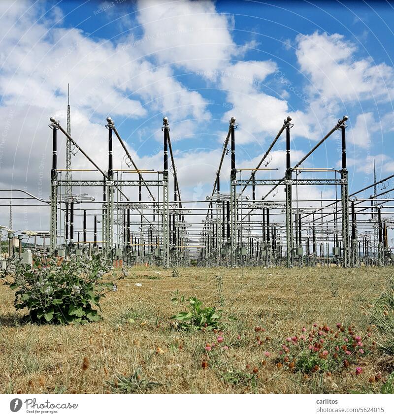 Hochspannung Strom Spannung Energie Umspannwerk Mast Kabel Leitung Elektrizität Technik & Technologie Energiewirtschaft Stromtransport Energiekrise Strommast