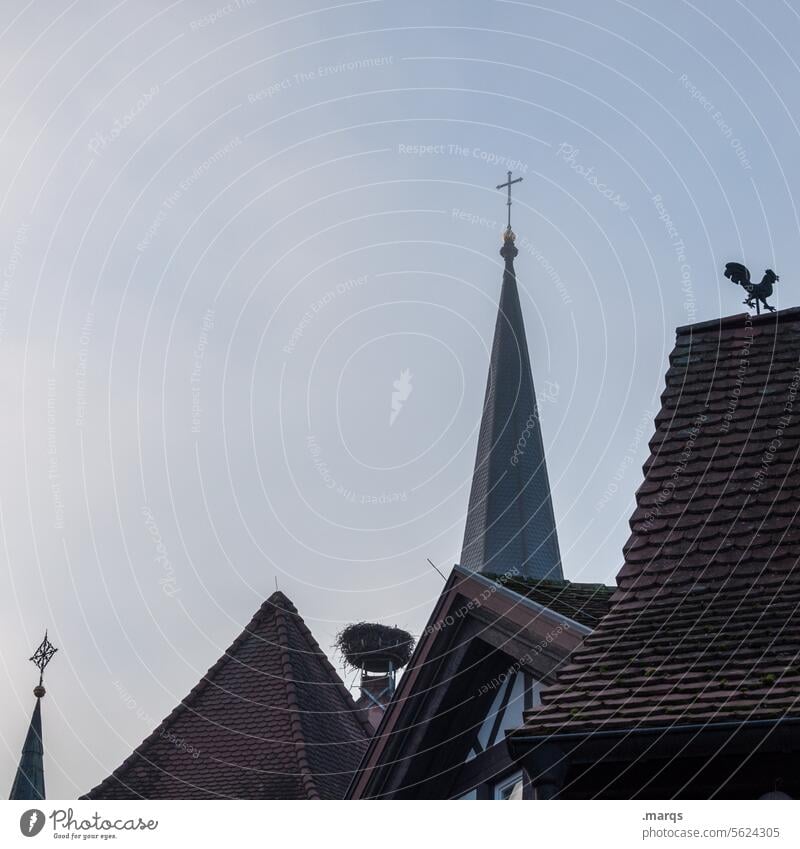 Dorf Kirchturm Dach Kirchturmspitze Kirche ruhig Himmel Religion & Glaube Gebäude Ruhe friedlich Idylle Wetterhahn Storchennest Nest Altstadt Dämmerung