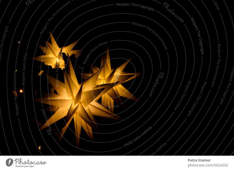 Weihnachtssterne vor schwarzen Hintergrund Weihnachten & Advent Weihnachtsdekoration Dekoration & Verzierung Stern festlich leuchten Feste & Feiern Winter