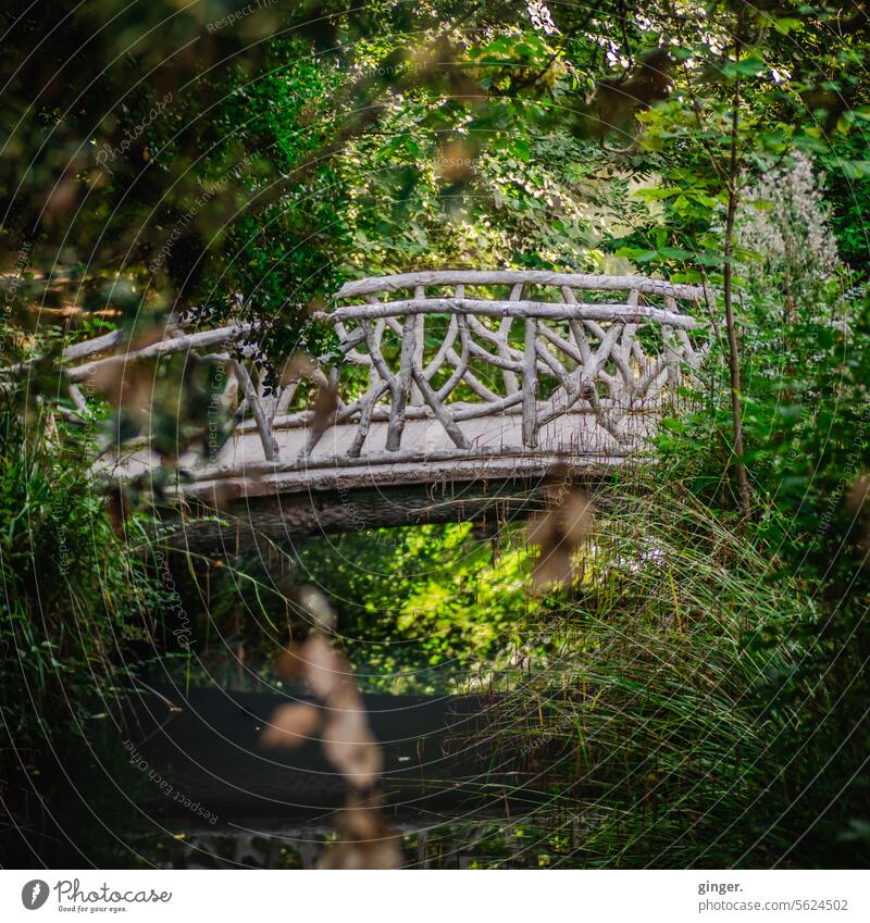 Die Brücke im Wald Schatten Stille draußen Sträucher Licht natürlich geheimnisvoll Pflanze Ufer Baum Farbfoto Umwelt Erholung Bäume Wasserspiegelung Ruhe