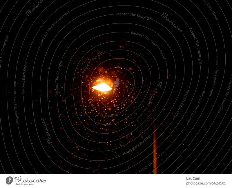 Leise rieselt der Schnee Schneefall Laterne Licht Lampe Winter dunkel Dunkelheit Nacht Straßenbeleuchtung Abend Straßenlaterne angeleuchtet