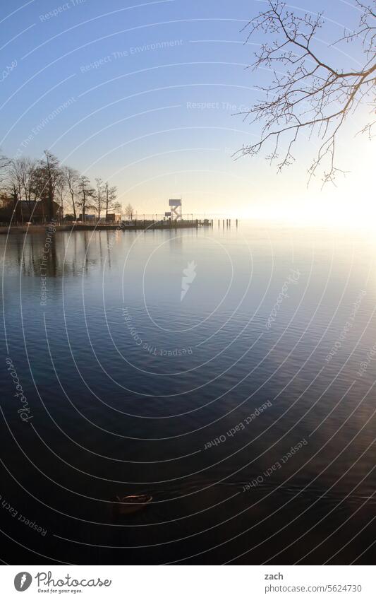 Guter Morgen See Dämmerung Müggelsee Friedrichshagen Großer Müggelsee Seeufer Köpenick Berlin Wasser Natur Sonnenaufgang Sonnenuntergang Schönes Wetter