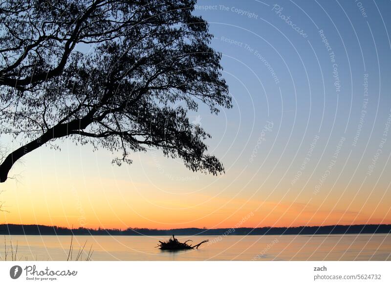 Guter Morgen See Dämmerung Müggelsee Friedrichshagen Großer Müggelsee Seeufer Köpenick Berlin Wasser Natur Sonnenaufgang Sonnenuntergang Schönes Wetter