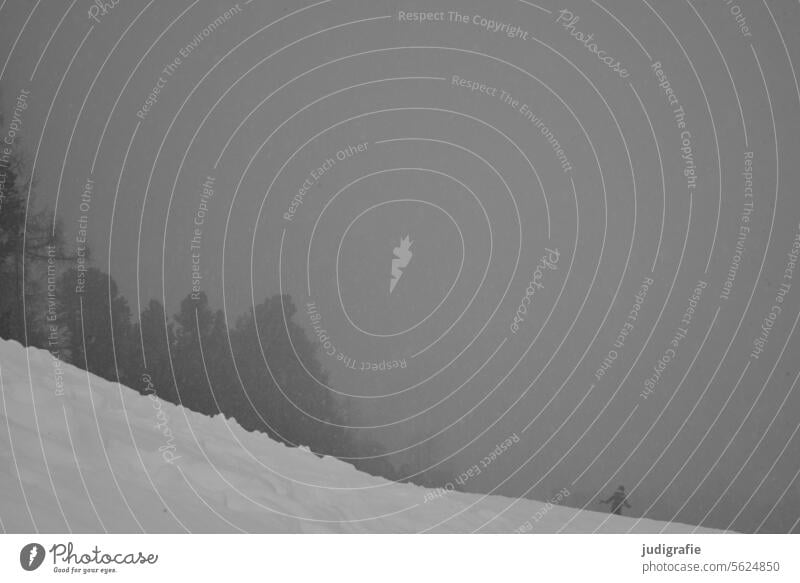 Graue Winterlandschaft Schnee Berge u. Gebirge Hügel Wald Bäume grau Nebel Schneedecke kalt Natur Baum Frost Wetter weiß Winterstimmung Schneelandschaft Kälte