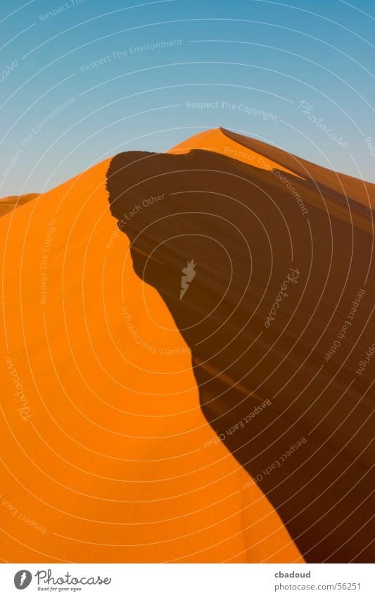 Sanddüne in Namibia Wüste Einsamkeit Abenteuer Zufriedenheit Ferne Stranddüne Außenaufnahme Strukturen & Formen Menschenleer Tag Zentralperspektive