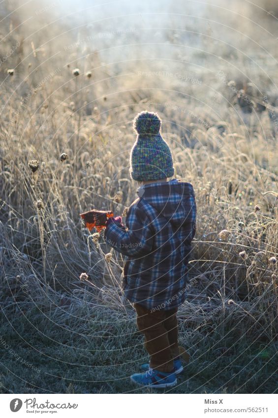 Weißes Feld Freizeit & Hobby Spielen Garten Kind Kleinkind Junge 1 Mensch 1-3 Jahre 3-8 Jahre Kindheit Natur Winter Wetter Nebel Eis Frost Schnee Blume Gras