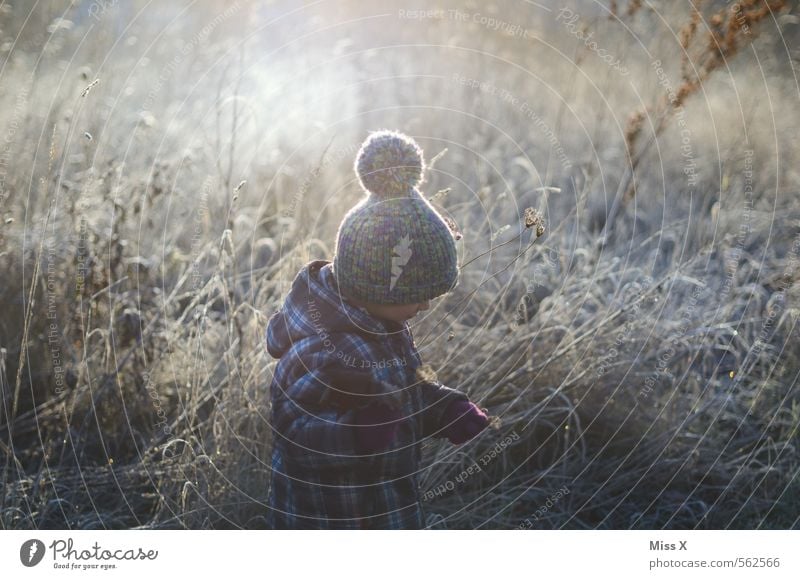 Eisig Mensch maskulin feminin Kind Kleinkind 1 1-3 Jahre 3-8 Jahre Kindheit Natur Winter Wetter Frost Schnee Blume Gras Sträucher Wiese Mütze Gefühle Stimmung