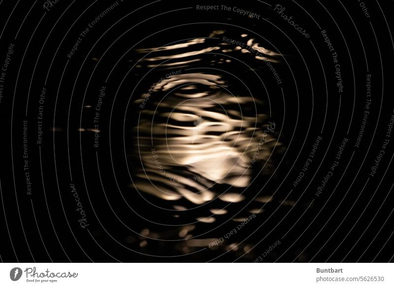 Regentropfenprelude Wasser Licht Reflexion & Spiegelung Pfütze nass Wetter schlechtes Wetter Regenwetter Interferenzen Mondlicht Kreise Wellen