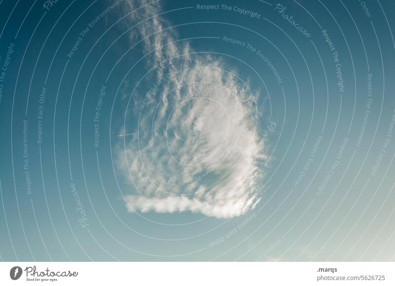 Formation Schönes Wetter nur Himmel Atmosphäre Meteorologie Klimakrise meteorologie Wolkenhimmel wolkig Umwelt blau Natur Klimawandel Luft Urelemente Cirrus