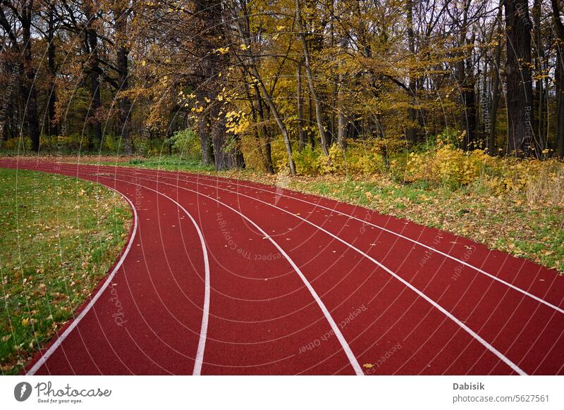 Rote Rennbahn mit Bahnen im Herbstpark Laufbahn Sport rot laufen Stadion Fahrspur leer Park Hintergrund Gras Linie Training Übung Bäume Feld Boden Rollfeld