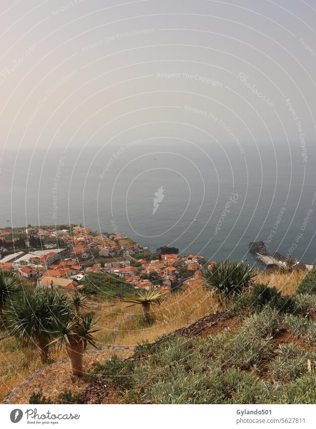 Blick von oben auf das Dorf Camara de Lobos auf Madeira Architektur Atlantik Bucht schön blau Gebäude Klippe Küste Küstenlinie Drachenbaumagave Europa hafen